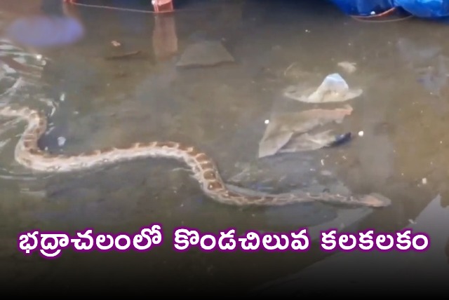 Bhadrachalam Python Creates Panic at Bathing Ghats