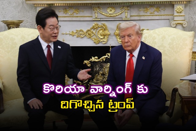 Donald Trump softens stance on foreign workers after Hyundai warning