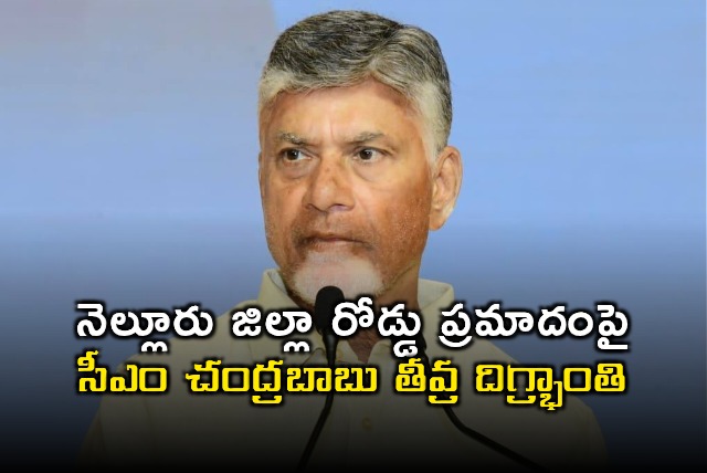 Chandrababu Naidu Deeply Shocked by Nellore District Road Accident