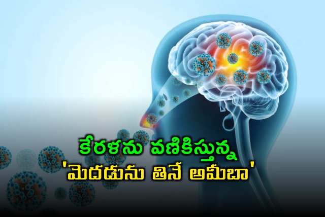 Kerala Brain Eating Amoeba What You Need to Know