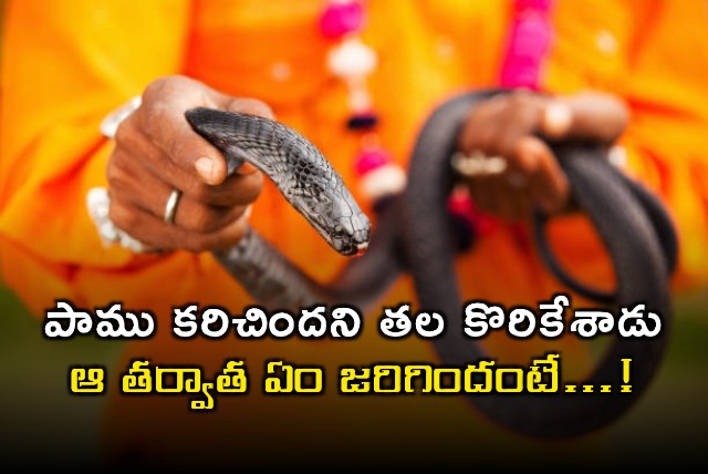 Venkatesh bit snake head after snake bite in Tirupati district