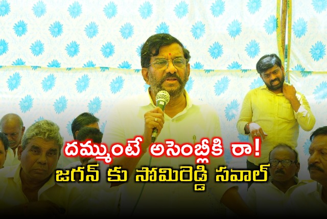 Jagan Reddy Challenged by Somireddy to Attend Assembly Session