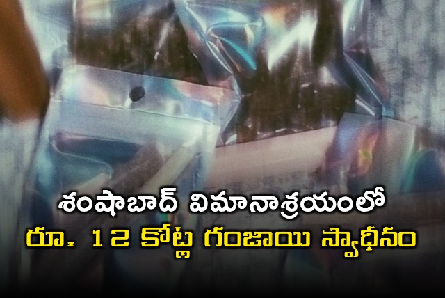 Shamshabad Airport 12 Crore Ganja Seized