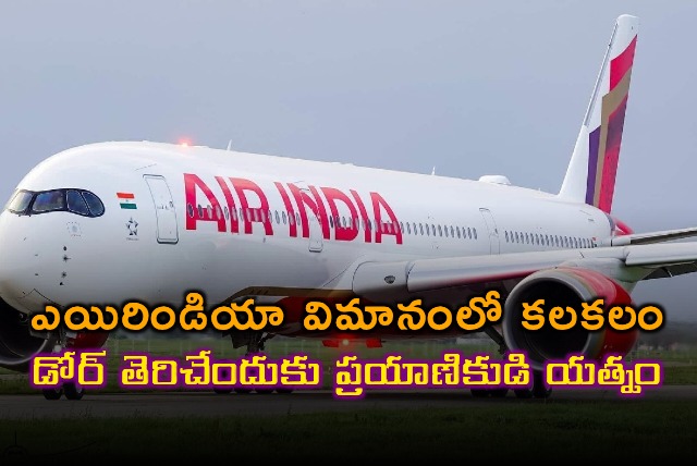 Air India Passenger Attempts to Open Cockpit Door on Flight