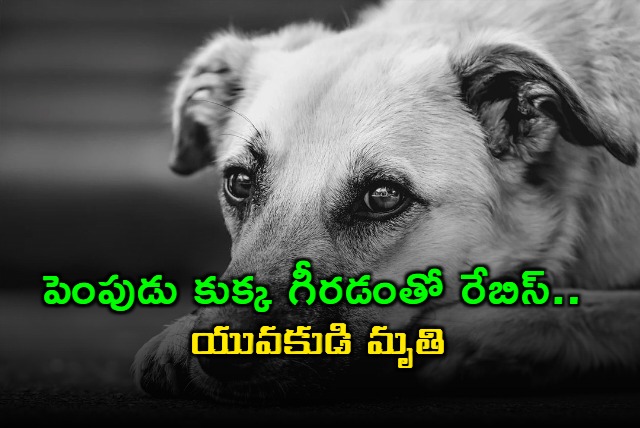 Dog nail scratch leads to youth death in Bhadradri Kothagudem