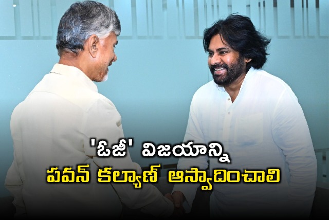 Pawan Kalyan Should Enjoy OG Success Says CM Chandrababu