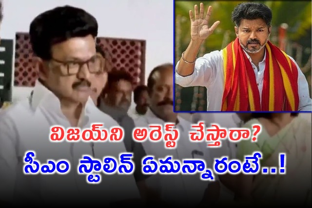 Vijay Karur Stampede CM Stalin Comments on Arrest