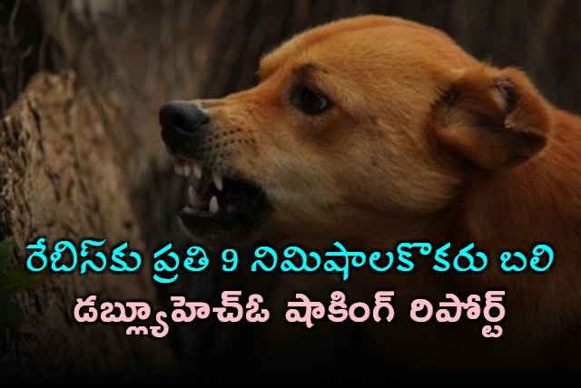 India accounts for one third of global rabies deaths