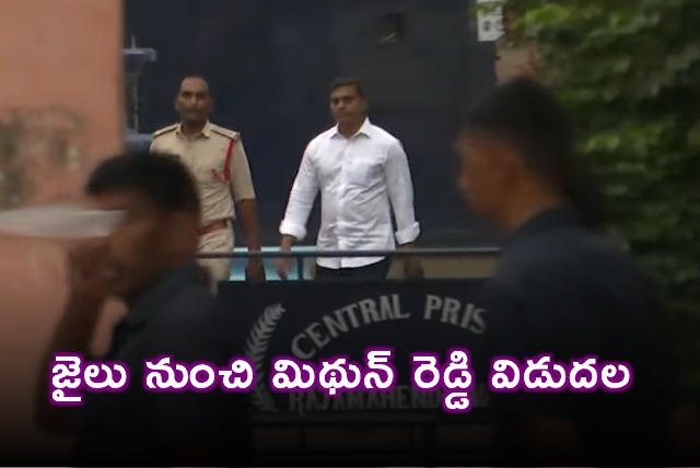 Mithun Reddy Released From Rajahmundry Jail on Bail