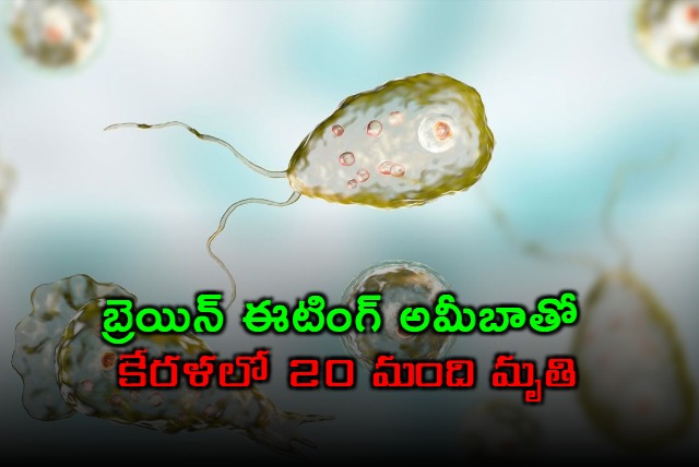 Kerala on High Alert After Brain Eating Amoeba Kills 20