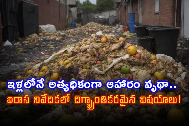 UNEP Report Reveals Shocking Food Waste Facts