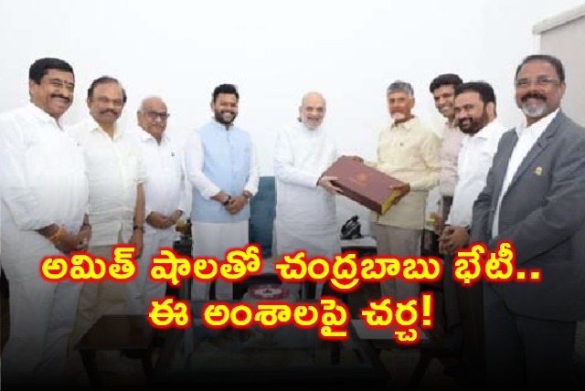 Chandrababu Naidu Meets Amit Shah Discusses Key Issues