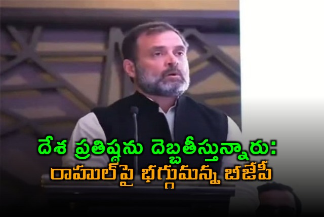 Rahul Gandhi Remarks Attract BJP Ire for Damaging Indias Reputation