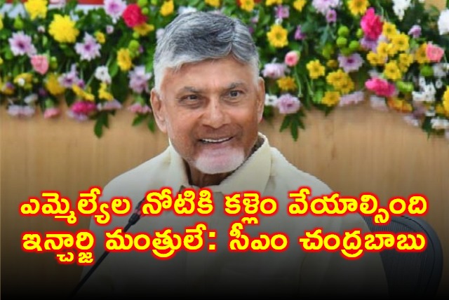 Chandrababu Naidu on Incharge Ministers Controlling MLAs