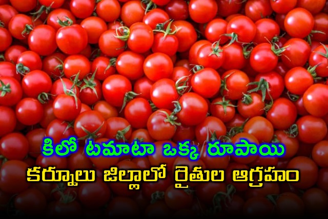 Kurnool Farmers Protest as Tomato Price Drops to One Rupee Per KG