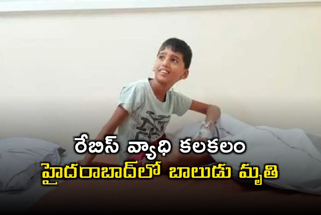 Boy dies of rabies in Hyderabad after dog bite
