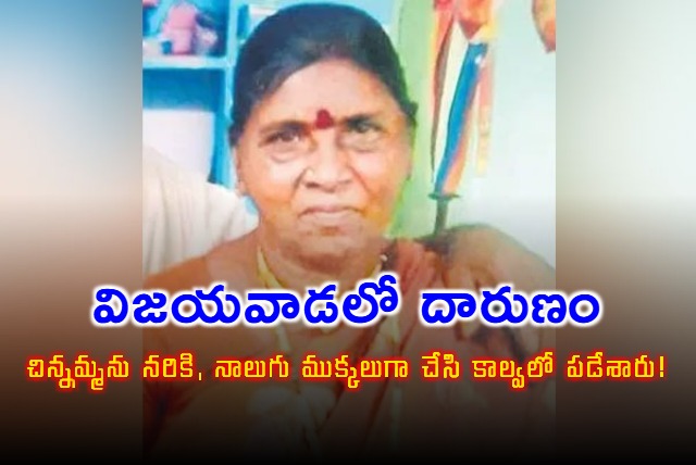 Vijayawada Man Murders Aunt After 13 Years Over Wife Dispute