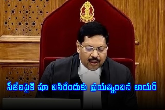 Lawyer attempts to throw shoe at CJI Gavai in Supreme Court