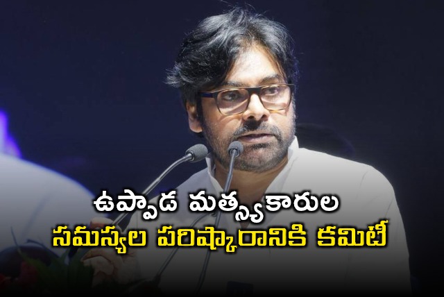 Pawan Kalyan Committee for Uppada Fishermen Issues