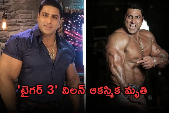 Tiger 3 Actor Varinder Singh Ghuman Dies