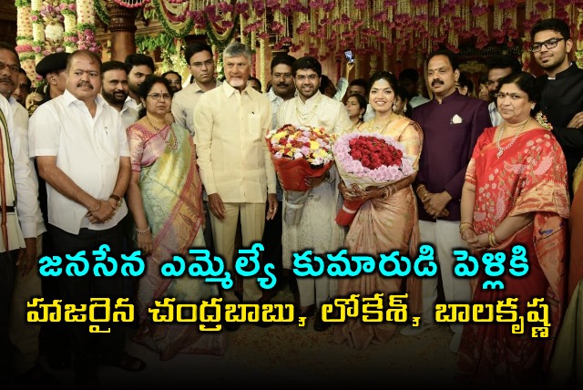 Chandrababu Attends Janasena MLA Pantam Nanaji Son Wedding