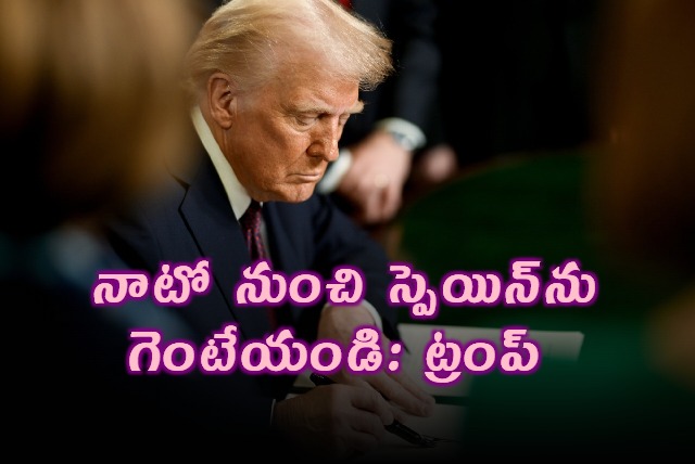 Donald Trump suggests expelling Spain from NATO