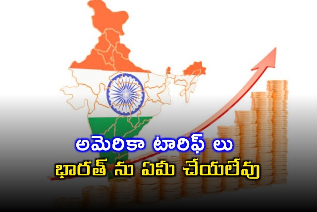 IMF says US tariffs cannot hurt Indian economy