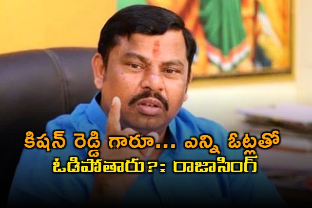 Kishan Reddy How Many Votes Will You Lose Asks Raja Singh