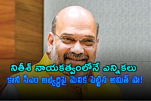 Amit Shah Remarks on Bihar CM Candidate