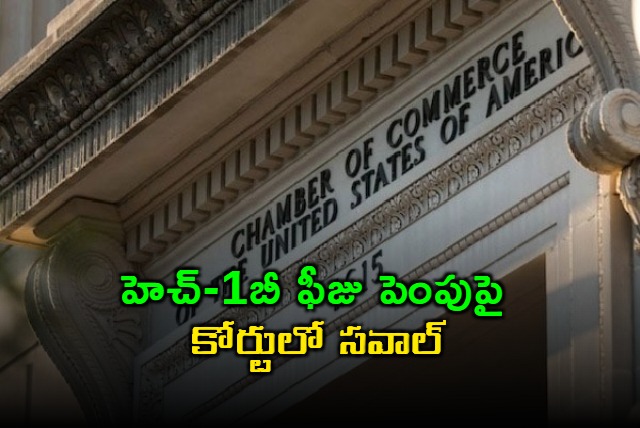 US Chamber of Commerce sues Trump administration over H1B visas