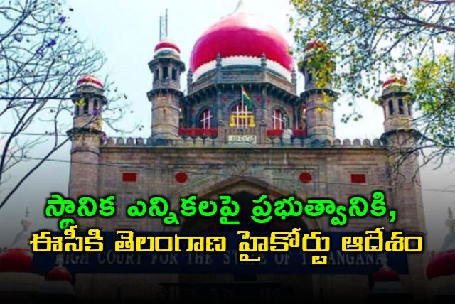 Telangana High Court Directs Government EC to Decide on Local Elections Soon