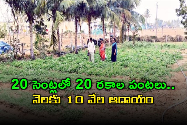 Kadapa farmer Ramesh success with 20 crops in small land