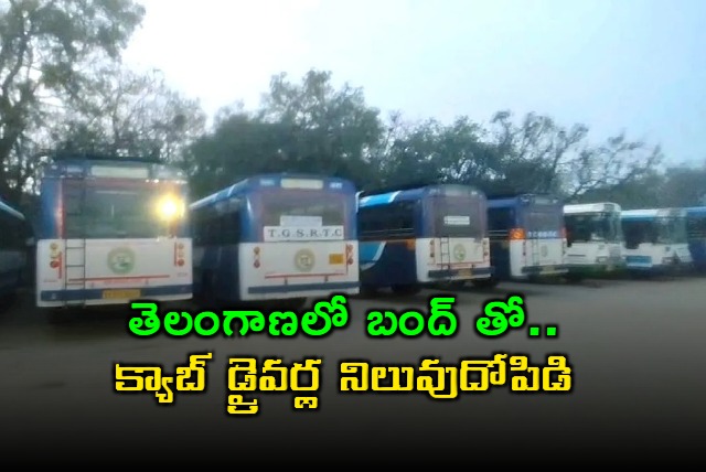 Telangana Bandh Affects Diwali Travelers