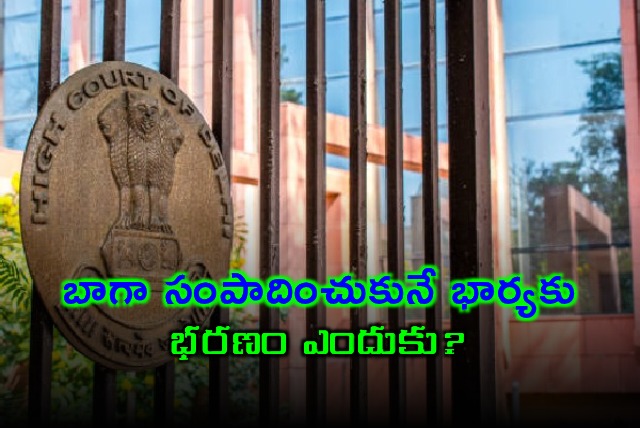 Delhi High Court Why alimony for well earning wife