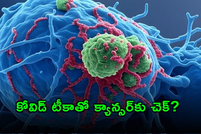 Covid mRNA vaccine may be used to fight lung skin cancer