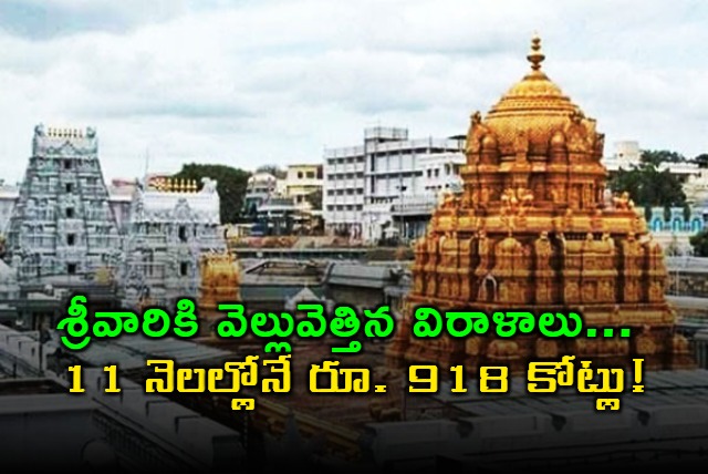 TTD Receives Rs 918 Crore in Donations in 11 Months