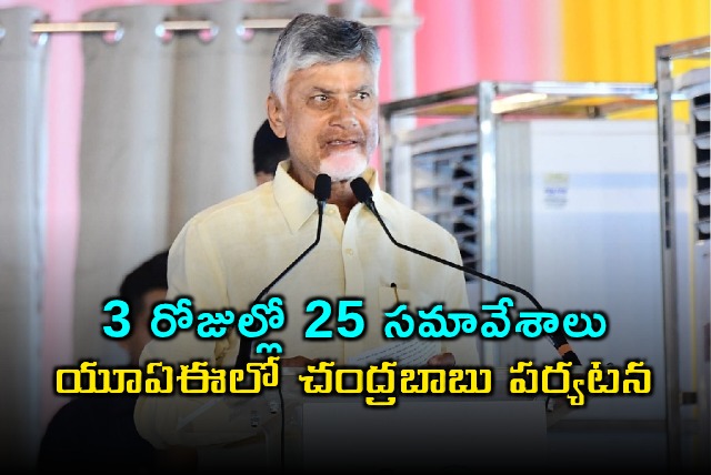 Chandrababu Naidu UAE Tour Schedule 25 Meetings in 3 Days