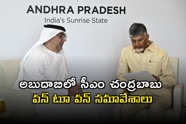 Andhra Pradesh CM Chandrababu Naidu Meets UAE Investors in Abu Dhabi