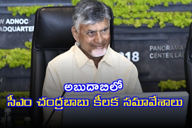 Chandrababu Naidu AP as Tech Hub Energy Investment Opportunities in Abu Dhabi
