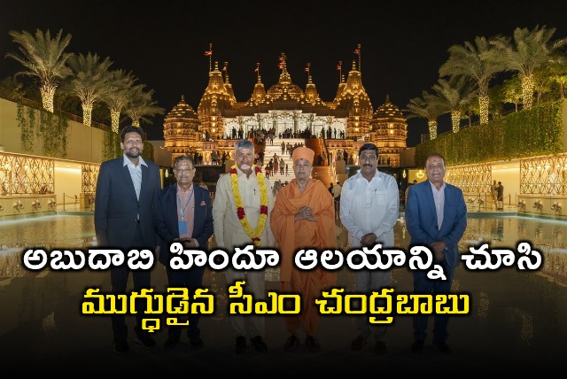 Chandrababu Naidu Amazed by Abu Dhabi Hindu Temple