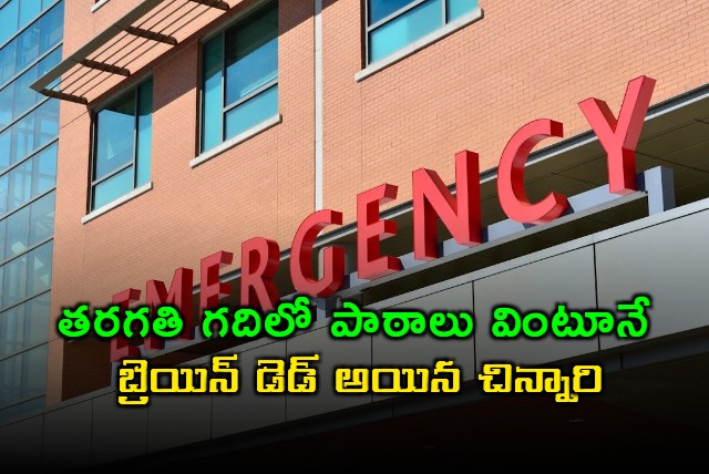 Sudheesh Prem Kumar Brain Dead While Attending Class in Hanmakonda