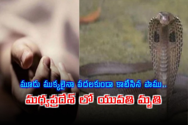 Severed snake kills woman in Morena Madhya Pradesh