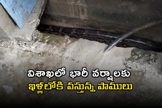 Visakhapatnam Rains Snakes Entering Houses Video