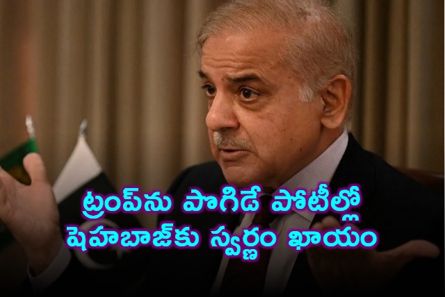 Pakistan PM Shehbaz Sharif faces criticism for Trump praise