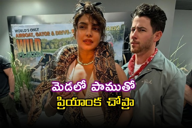 Priyanka Chopra Poses With Snake Nick Jonas Reacts