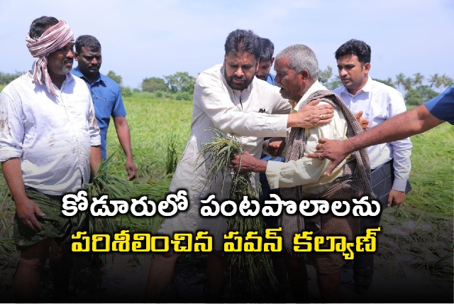 Pawan Kalyan Inspects Damaged Crops in Koderu