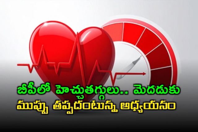 Rapid BP fluctuations may signal risk of brain degeneration in elderly