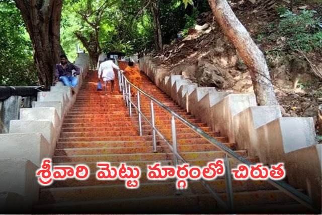 Leopard Spotted on Srivari Mettu Route in Tirumala
