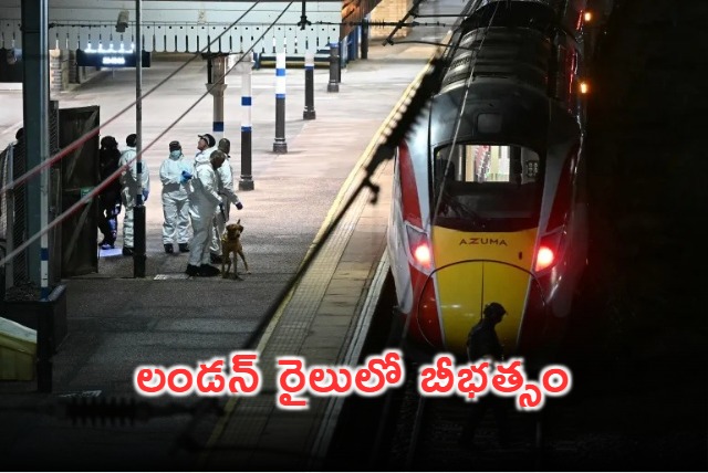 Knife Attack on London Train Leaves 10 Injured