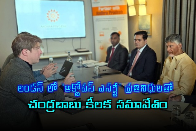 Chandrababu Naidu Meets Octopus Energy Representatives in London